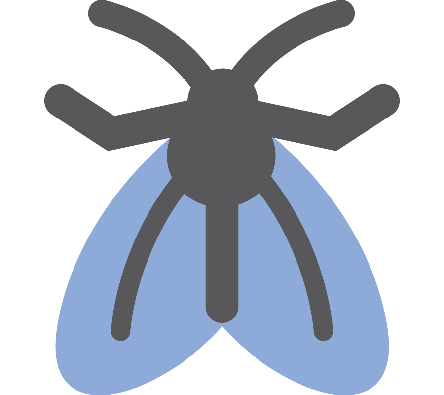 Fly